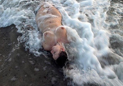 Девушка Мила, фото и отзывы